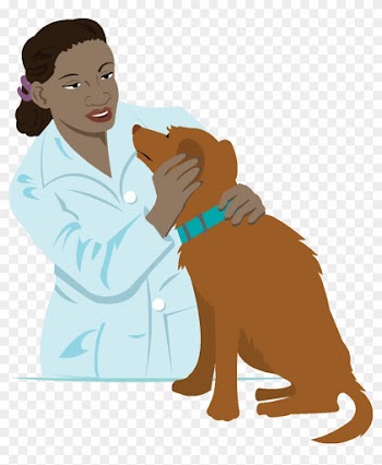 Vet Clipart Transparent - Veterinarian Clipart Transparent