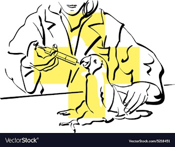 Veterinarian vector image