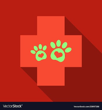 Veterinary clinic symbol animal paw print vector image