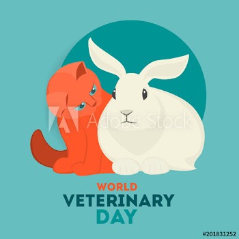 Veterinary day set
