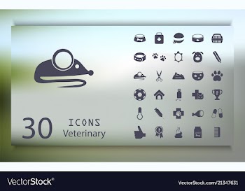 Veterinary dog medicine concept for your design vector image