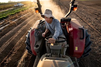 VH Produce owner Vue Her | Free Photo - rawpixel