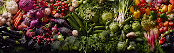 Vibrant Array of Fresh Vegetables