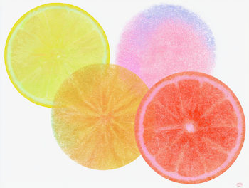 Vibrant Citrus Fruit Slices - Top-Down View