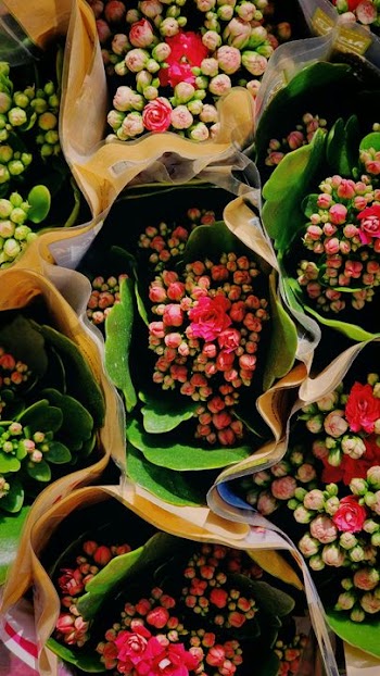 Vibrant Floral Arrangements Bundled with Greenery