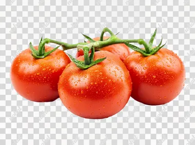 Vibrant Fresh Tomatoes: A Hyper-Realistic Culinary Delight Vibrant Fresh Tomatoes: A Hyper-Realistic Culinary Delight