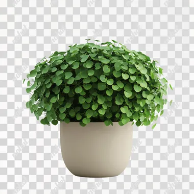 Vibrant Green Plant in Elegant Simplicity