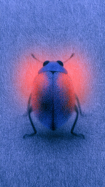 Vibrant Ladybug on Textured Background