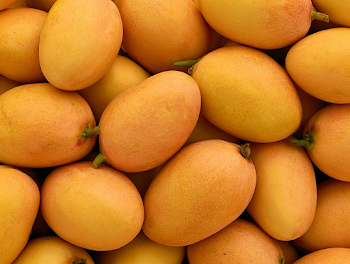 Vibrant Pile of Ripe Mangoes