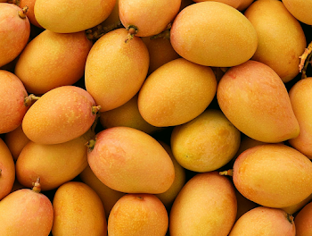 Vibrant Pile of Ripe Mangoes