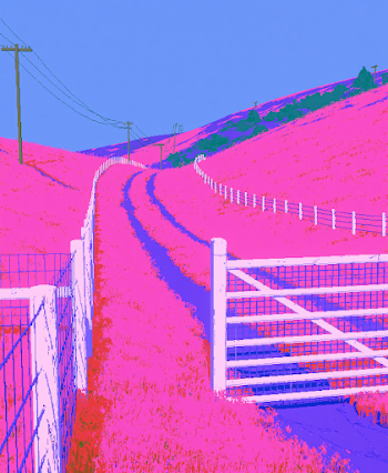 Vibrant Pink Flower Landscape