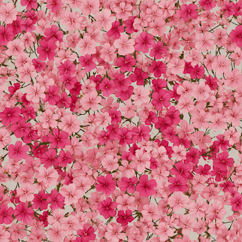 Vibrant Pink Flower Pattern