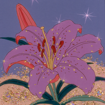 Vibrant Red Lily in Bloom