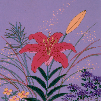 Vibrant Red Lily in Bloom