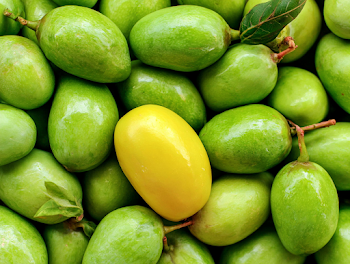 Vibrant Tropical Mango Display