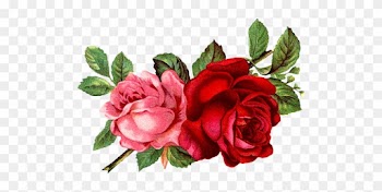 Victorian Die Cut - Old Rose Informant By Brent C Dickerson