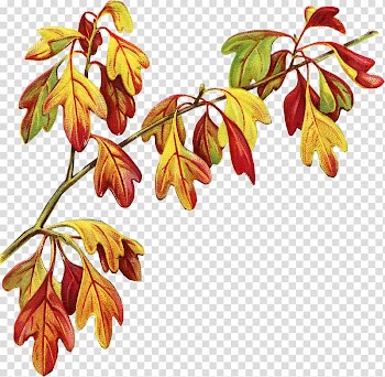 Victorian era Autumn Bokmärke Sticker , vintage fairy transparent background PNG clipart
