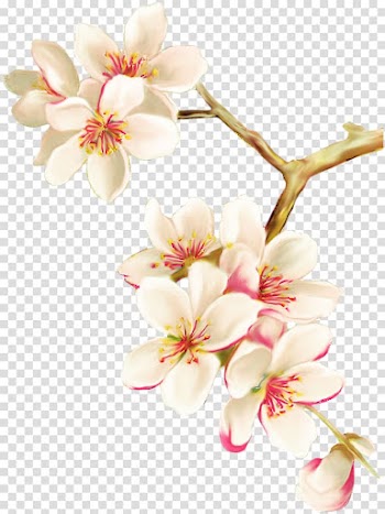 Victorian era Flower Paper Greeting card Christmas card, flower transparent background PNG clipart