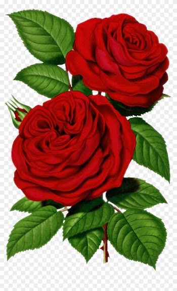 Victorian Red Rose Graphic - Rose Prints