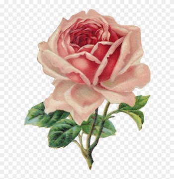 Victorian Rose Cliparts - Vintage Rose Clip Art
