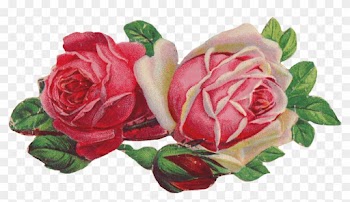 Victorian Rose Pictures Free Download Clip Art Free - Victorian Roses