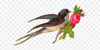 Victorian Roses And Blue Birds Clipart - Beautiful Rose And Bird