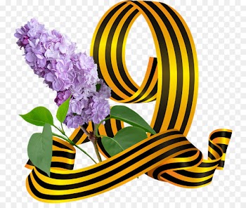 Victory Day Holiday Daytime Birthday Georgiy lentasi aksiyasi - victory day 