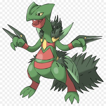 Video Games Nintendo Drawing Sceptile Feraligatr - swampert flag 