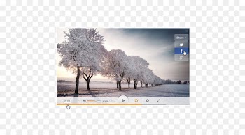 Video player User interface Media player - Video Player 
