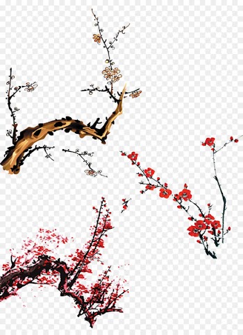 Vietnam Lunar New Year Ochna integerrima Antithetical couplet - Red Plum 