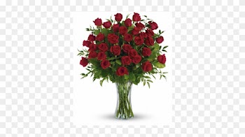 View Larger - Dozen Extra Long Stem Roses