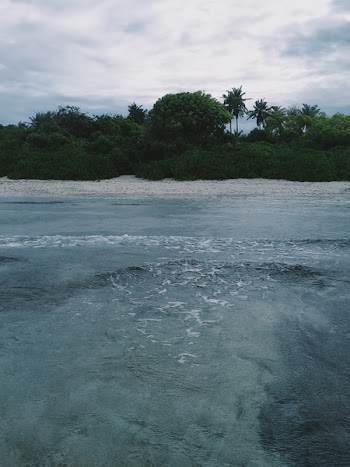 View of a Beach