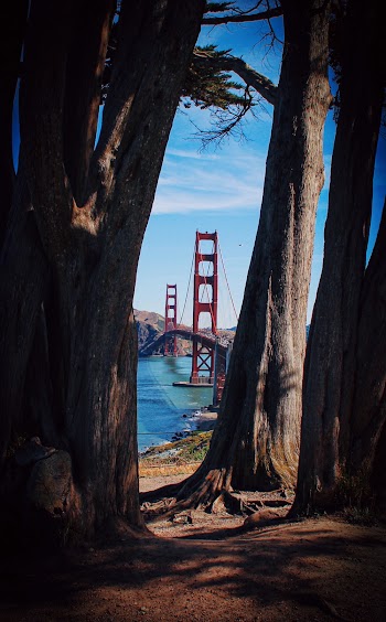 View Of A Red Bridge Seen Between Trees