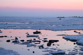 View of an Icy Beach