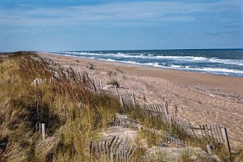 View of beach and ocean from Sanderling Inn,… | Free public domain photo