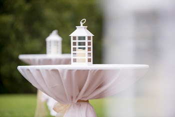 View of Bird Bath
