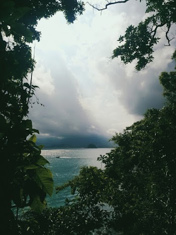 View of Body of Water from Trees