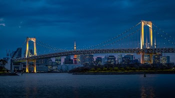 View of Bridge at Night