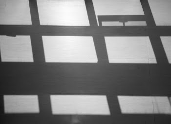 View of Frame Shadow