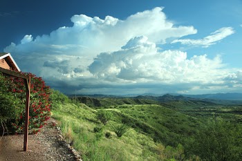 View of Green Grass Field