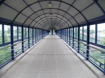 View of Greenhouse