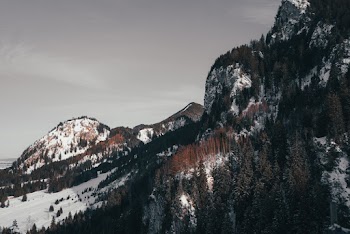 View of Hill