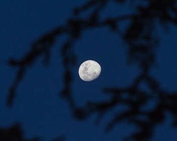 view of moon