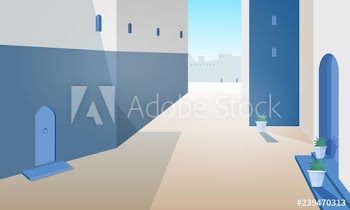 View of Morocco street with building walls, doors of traditional shape, outdoor plants growing in pots