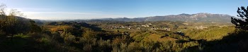 View of Mountain Covered With Trees