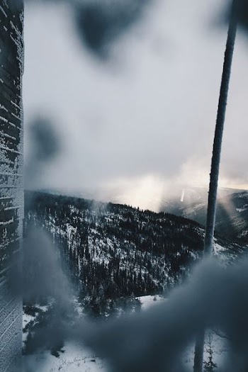 view of mountain with trees