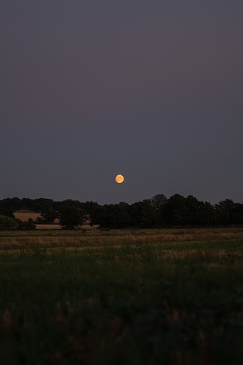 View Of The Full Moon Over The Trees In The Open Field