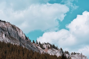 View of Trees Near Mountain