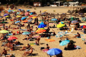View of Umbrellas and People on a Crowded Beach