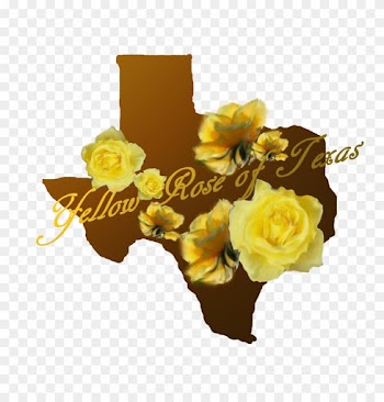 View Totallytexasgifts Design Gallery Totally Texas - Yellow Rose Of Texas
